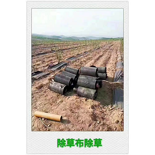 防草?0